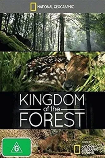 Póster de Kingdom of the Forest