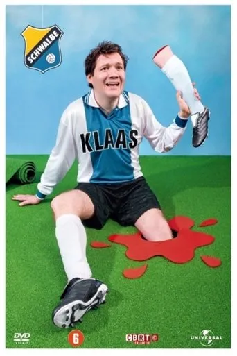 Póster de Klaas van der Eerden: Schwalbe