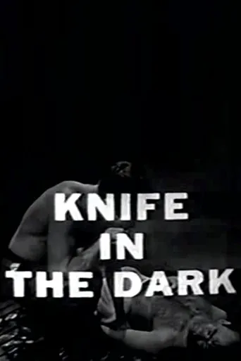 Póster de Knife in the Dark