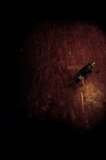 Póster de Knife Point