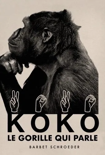 Póster de Koko, le gorille qui parle