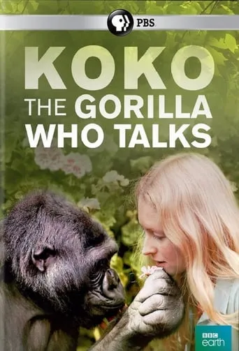 Póster de Koko: The Gorilla Who Talks to People