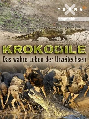 Póster de Krokodile - das wahre Leben der Urzeitechsen
