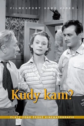 Póster de Kudy kam?