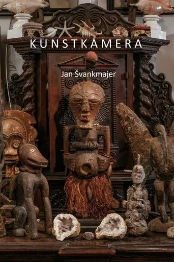 Póster de Kunstkamera