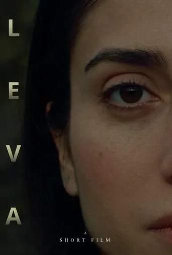 Póster de L E V A