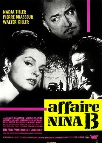 Póster de L'Affaire Nina B.