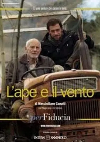 Póster de L'ape e il vento
