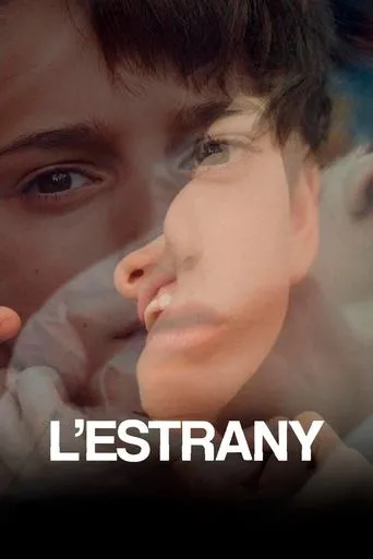 Póster de L'estrany