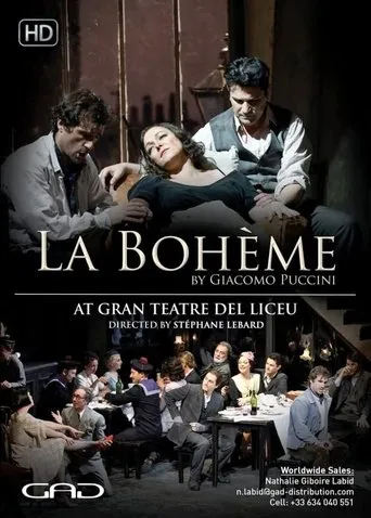 Póster de La bohème - Liceu