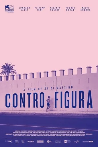 Póster de La Controfigura