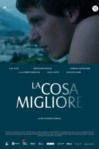 Póster de La cosa migliore