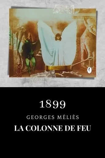 Póster de La danse du feu