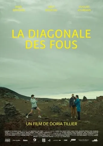 Póster de La diagonale des fous