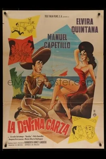Póster de La divina garza