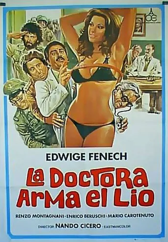 Póster de La doctora arma el lío