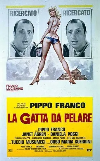 Póster de La gatta da pelare