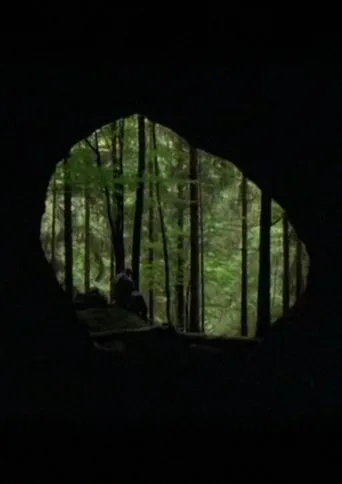 Póster de La Guitare de diamants