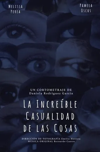 Póster de La Increíble Casualidad de las Cosas