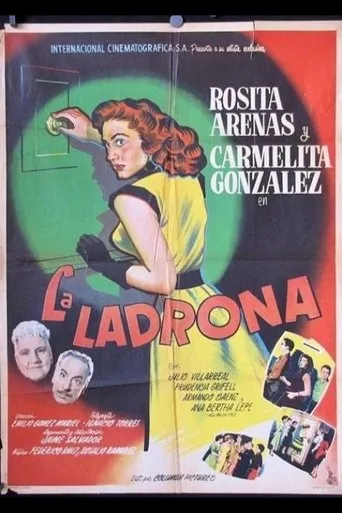 Póster de La ladrona