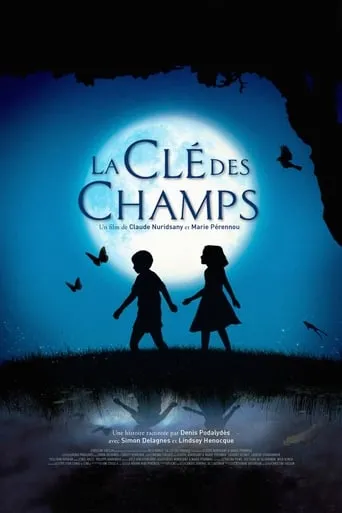 Póster de La llave del campo