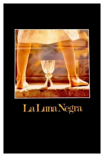 Póster de La luna negra