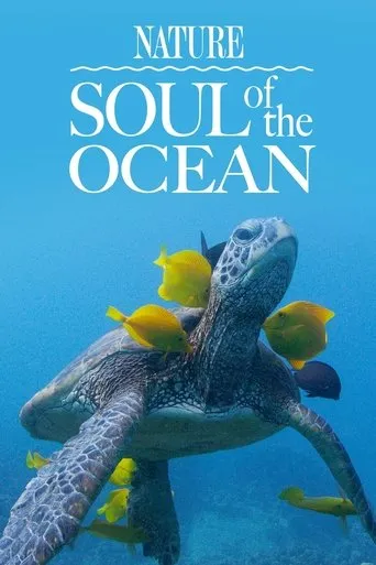 Póster de La magia de los océanos