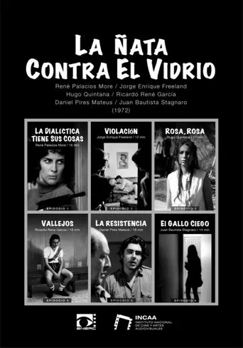 Póster de La ñata contra el vidrio