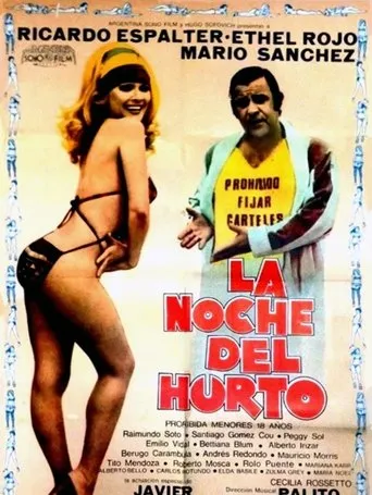 Póster de La noche del hurto