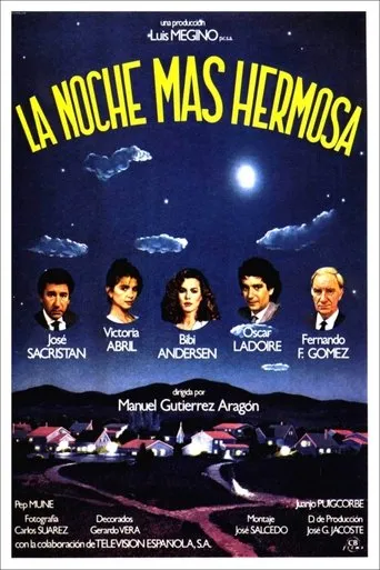 Póster de La noche más hermosa