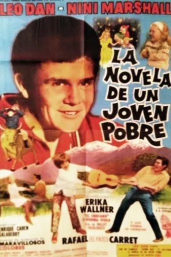 Póster de La novela de un joven pobre
