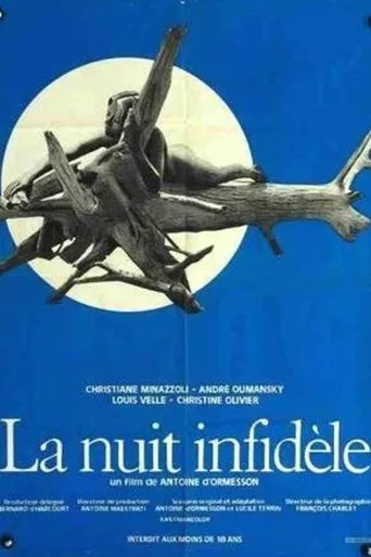 Póster de La nuit infidèle