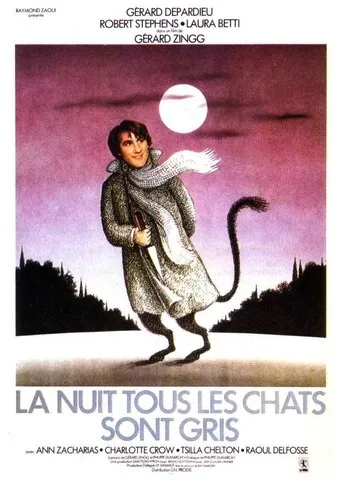 Póster de La nuit, tous les chats sont gris