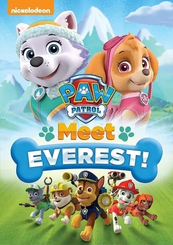 Póster de La patrulla canina: Conoce a Everest (2016) con Devan Cohen como Rubble