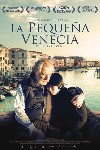 Póster de La pequeña Venecia: Shun Li y el poeta (2011) con Zhao Tao como Shun Li