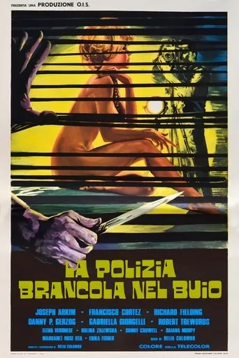 Póster de La polizia brancola nel buio