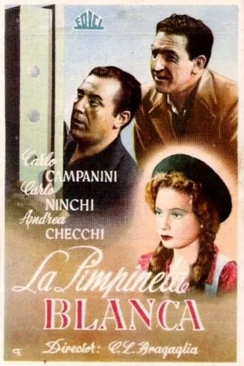 Póster de La primula bianca