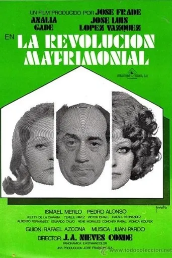 Póster de La revolución matrimonial