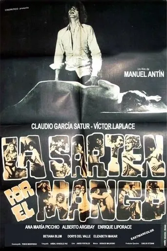 Póster de La sartén por el mango