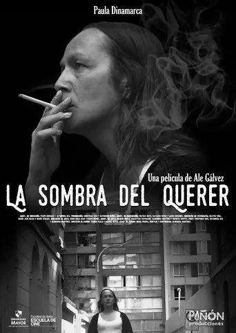 Póster de La sombra del querer