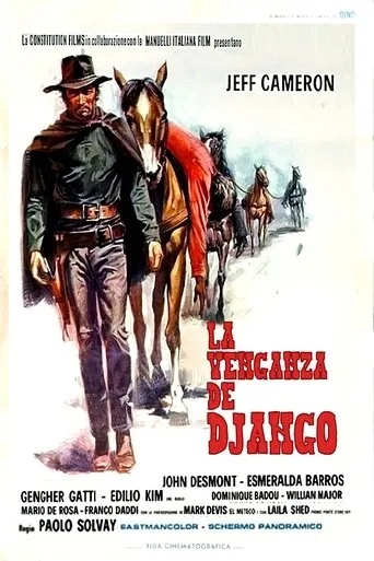 Póster de La venganza de Django