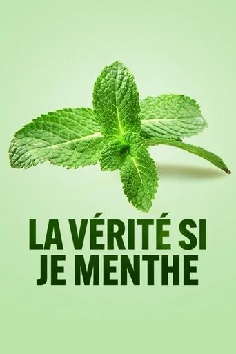 Póster de La vérité si je menthe