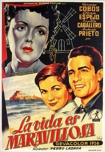 Póster de La vida es maravillosa