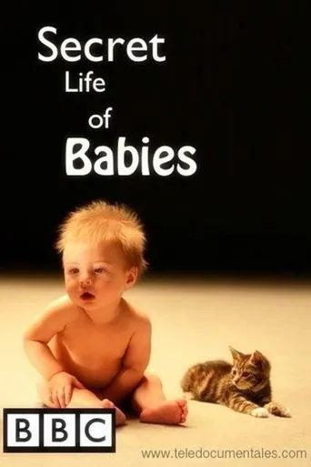 Póster de La vida secreta de los bebés