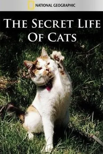 Póster de La vida secreta de los gatos (2014) con Martin Clunes como Self - Narrator (voice)