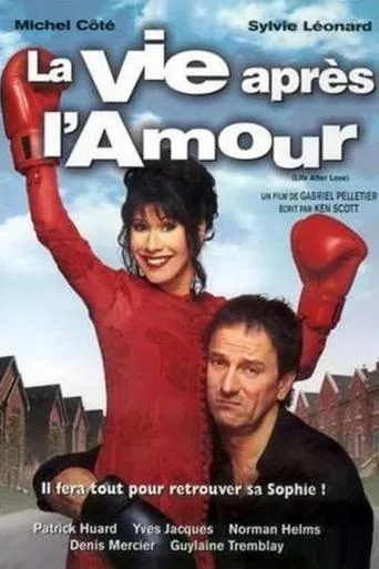Póster de La vie après l'amour