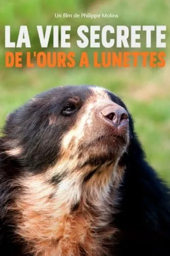 Póster de La vie secrète de l’ours à lunettes