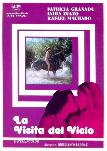 Póster de La visita del vicio