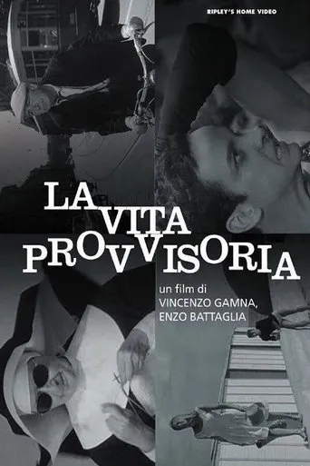 Póster de La vita provvisoria
