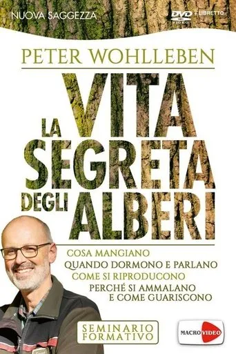 Póster de La vita segreta degli alberi